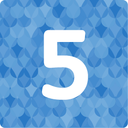 Number 5 inside a blue square